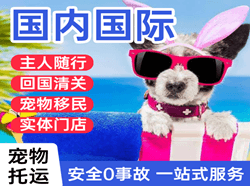 淮安机场货运国际宠物托运 【国